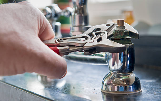 Best Mold removal after water damage  in Black Rock, NM