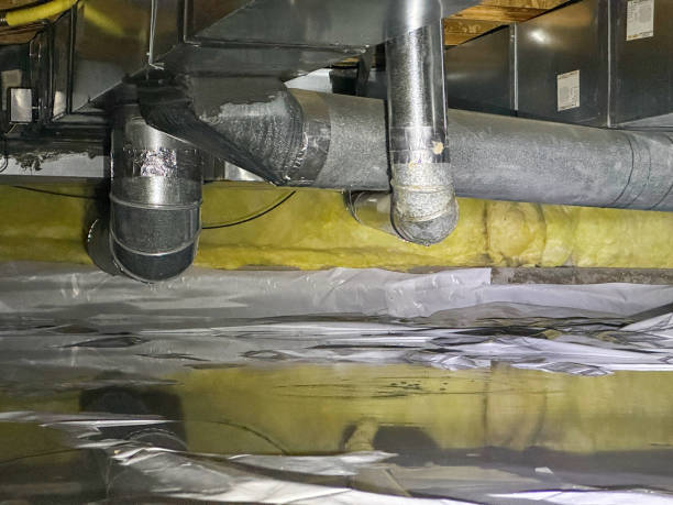 Best Fire Damage Restoration  in Black Rock, NM