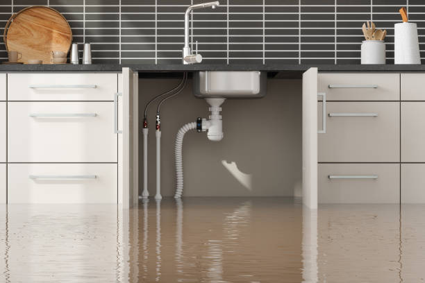 Best Sewage cleanup and water damage restoration  in Black Rock, NM