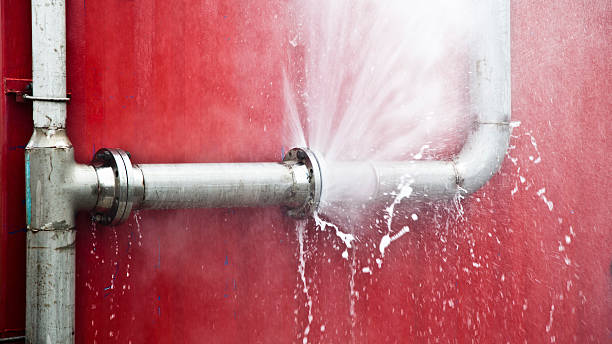 Best Flood damage cleanup  in Black Rock, NM